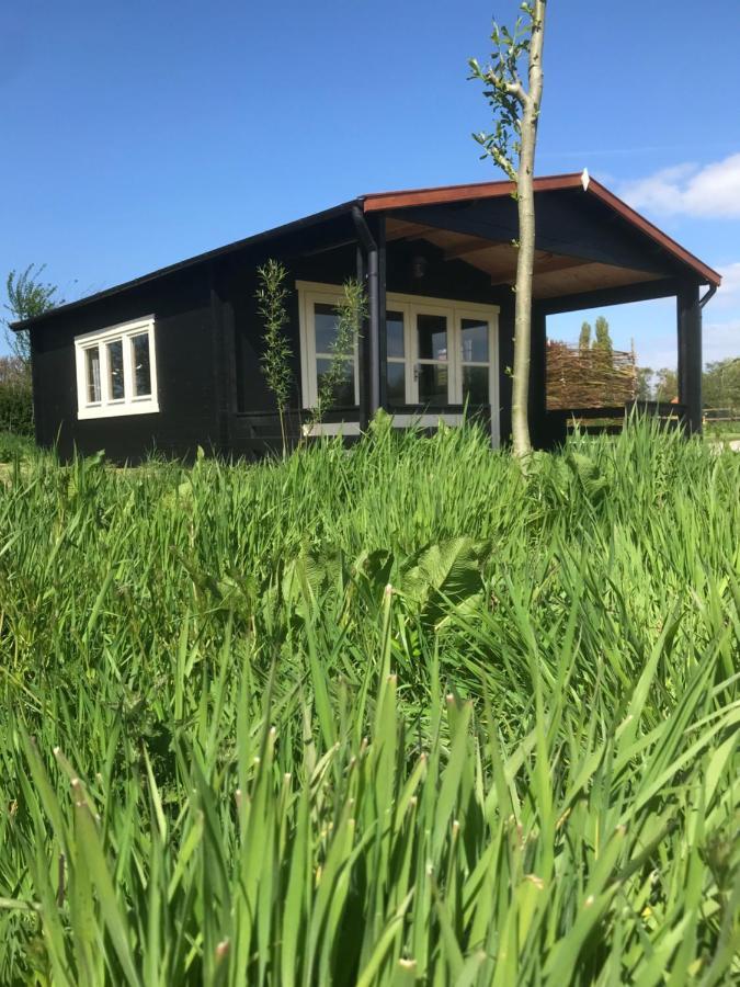 Fields 1216 Bed & Breakfast Zwaanshoek ภายนอก รูปภาพ