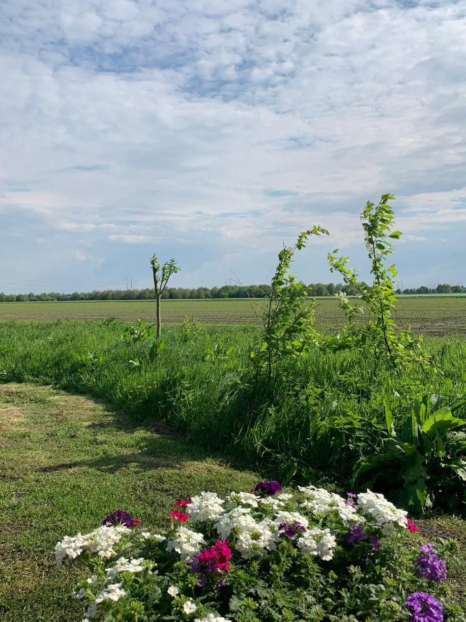 Fields 1216 Bed & Breakfast Zwaanshoek ภายนอก รูปภาพ