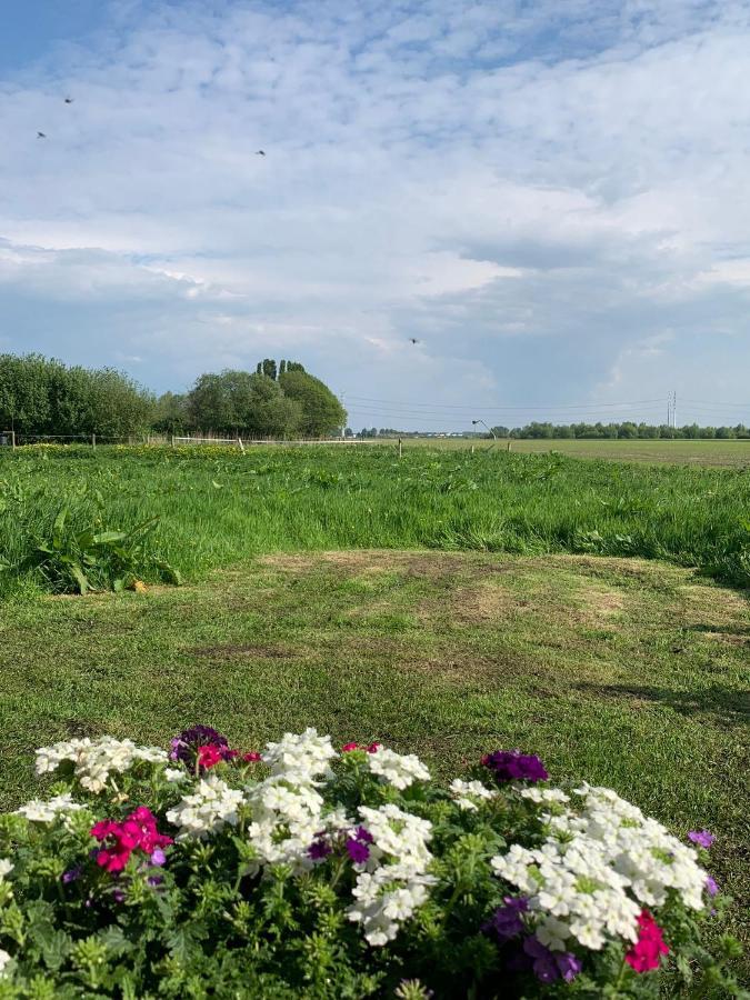 Fields 1216 Bed & Breakfast Zwaanshoek ภายนอก รูปภาพ
