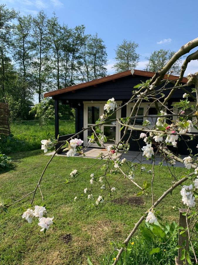 Fields 1216 Bed & Breakfast Zwaanshoek ภายนอก รูปภาพ